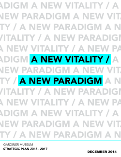 Strategic Plan 2015-2017 - Toronto Community Knowledge Centre