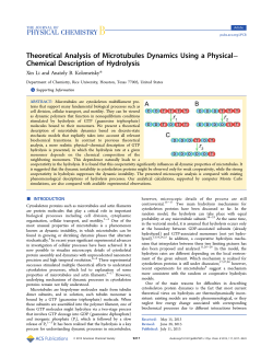 Theoretical Analysis of Microtubules Dynamics Using a Physical