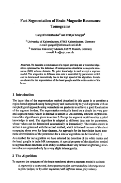 Fast segmentation of brain magnetic resonance tomograms