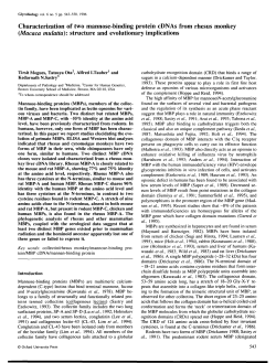 Characterization of two mannose-binding protein