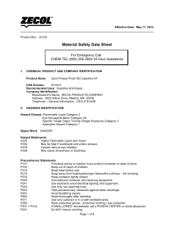 Freez Proof ISO Gasoline Anti