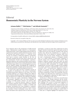 Editorial Homeostatic Plasticity in the Nervous System