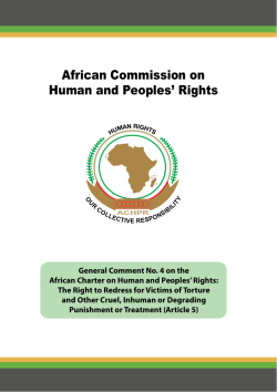African Commission on Human and Peoples` Rights