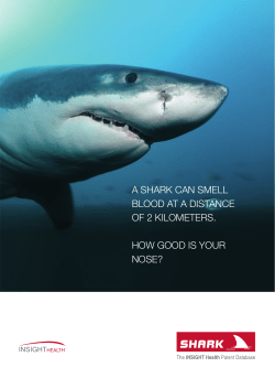 a shark can smell blood at a distance of 2 kilometers. how good is