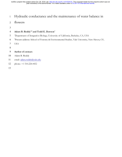 Hydraulic conductance and the maintenance of water