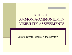ROLE OF AMMONIA/AMMONIUM IN VISIBILITY ASSESSMENT