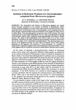 compound from Micrococcus pyogenes