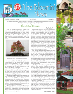 The Art of Bonsai - Sandhills Community College