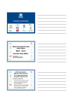 Risk Assessment and Care Plans Why? How? and how they differ..