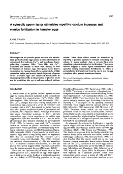 A cytosolic sperm factor stimulates repetitive calcium