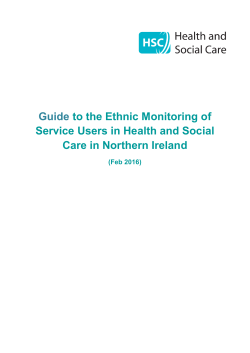 Ethnic Monitoring Guidance