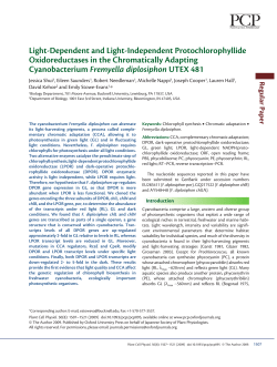 Light-Dependent and Light-Independent