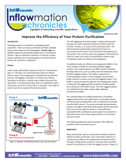 Improve the Efficiency of Your Protein Purification