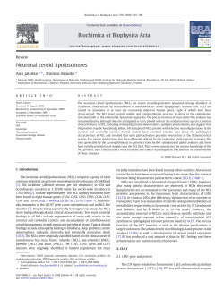 Neuronal ceroid lipofuscinoses