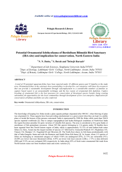 Potential Ornamental Ichthyofauna of Bordoibam Bilmukh