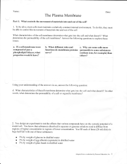 The Plasma Membrane