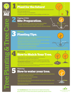 planting and care guide