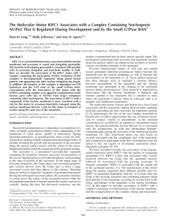 The Molecular Motor KIFC1 Associates with a Complex Containing