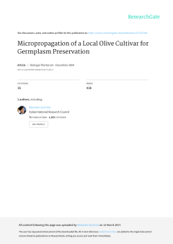 Micropropagation of a Local Olive Cultivar for Germplasm Preservation