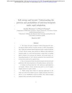 Soft sweeps and beyond: Understanding the patterns and