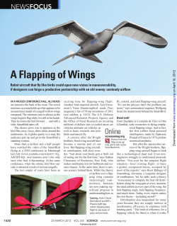 A Flapping of Wings