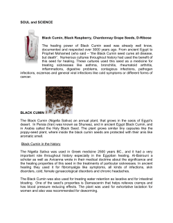 SOUL and SCIENCE Black Cumin, Black Raspberry, Chardonnay