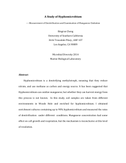 A Study of Hyphomicrobium - Marine Biological Laboratory