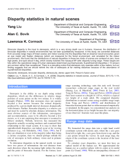 Disparity statistics in natural scenes