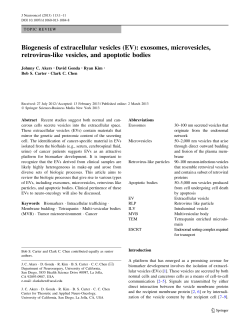 Biogenesis of extracellular vesicles (EV): exosomes, microvesicles