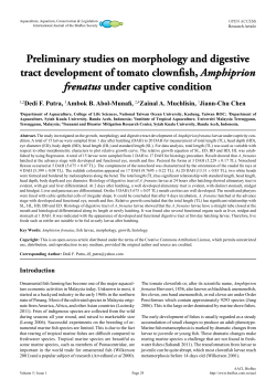 Preliminary studies on morphology and digestive tract development