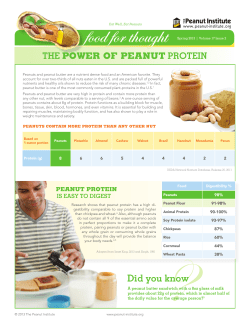 The Power of Peanut Protein