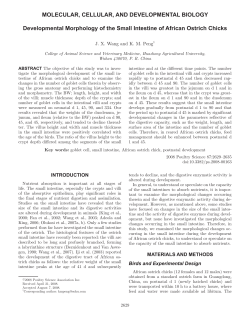 Developmental Morphology of the Small Intestine of African Ostrich