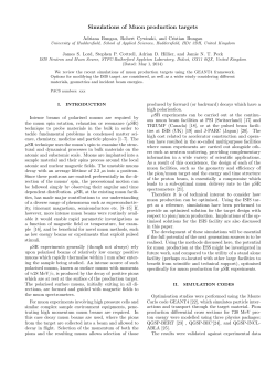Simulations of Muon production targets