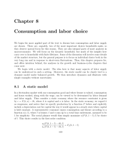 Chapter 8 Consumption and labor choice