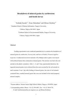 Breakdown of mineral grains by earthworms and beetle larvae