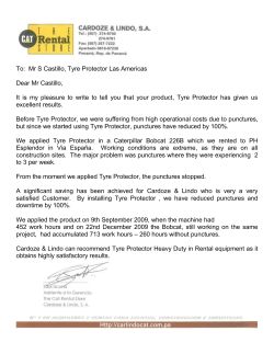 To: Mr S Castillo, Tyre Protector Las Americas Dear Mr Castillo, It is