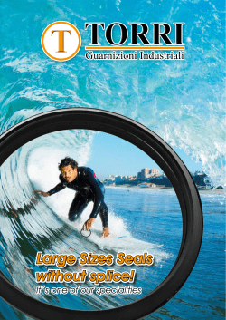 Large Sizes Seals without splice!