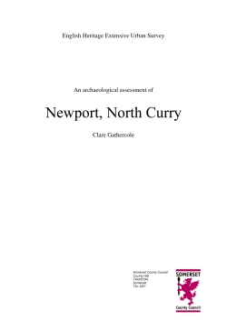 Newport report
