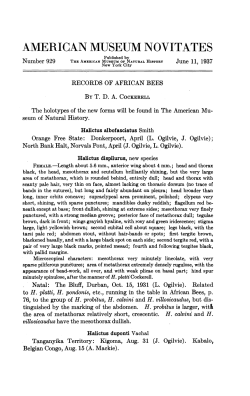 american museum novitates - AMNH Library Digital Repository