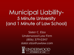 Slater C. Elza Underwood Law Firm (806) 379