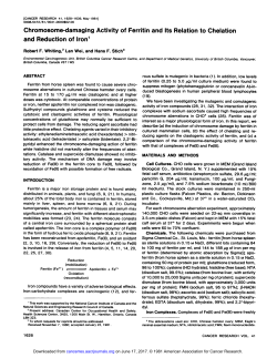 as a PDF