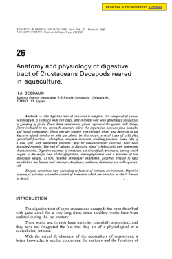 Anatomy and physiology of digestive tract of - Archimer