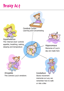 Brainy Act - Discover Primary Science