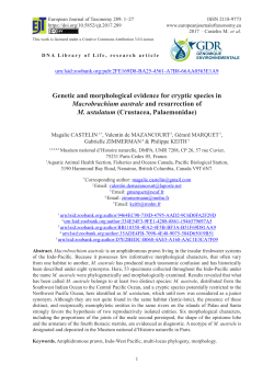 Print this article - European Journal of Taxonomy