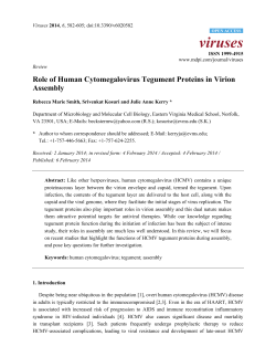 Role of Human Cytomegalovirus Tegument Proteins in Virion