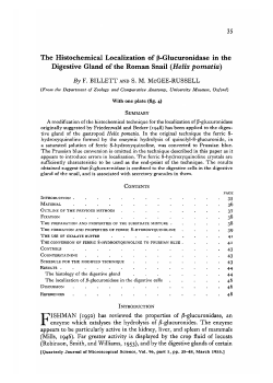 The Histochemical Localization of p-Glucuronidase in the Digestive