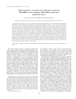 phylogenetic analyses of cornales based on 26s rrna and