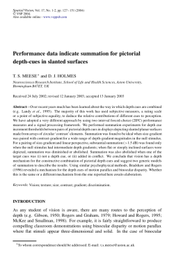 Performance data indicate summation for pictorial depth