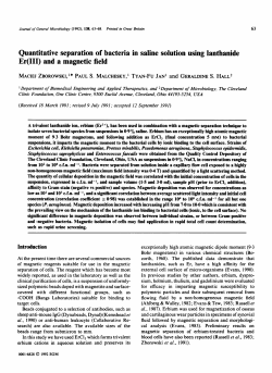 Quantitative separation of bacteria in saline solution using