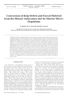 Conversion of kelp